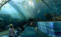 世界上最大的水族館排名，中國有兩處上榜