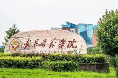 2021湖北省十大民辦大學(xué)排名，第一名武昌首義學(xué)院