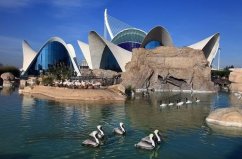 全球六個最大的水族館，真是夢幻的“水世界”