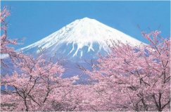 日本最美的自然風(fēng)光：富士山奪冠，你去過幾個(gè)？