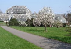 世界十大著名植物園排行榜，柏林植物園位居第九