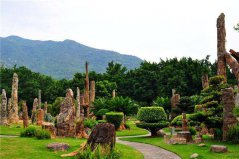 深圳十大城市公園：園博園入榜，仙湖植物園居榜首