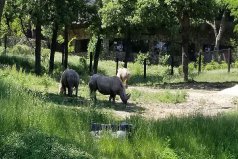 世界十大最佳動(dòng)物園，世界最著名的動(dòng)物園