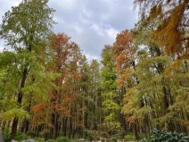 上海值得去的六大公園，上海好玩的公園排行榜