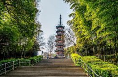 上海著名的六大森林公園，佘山國家森林公園排第一